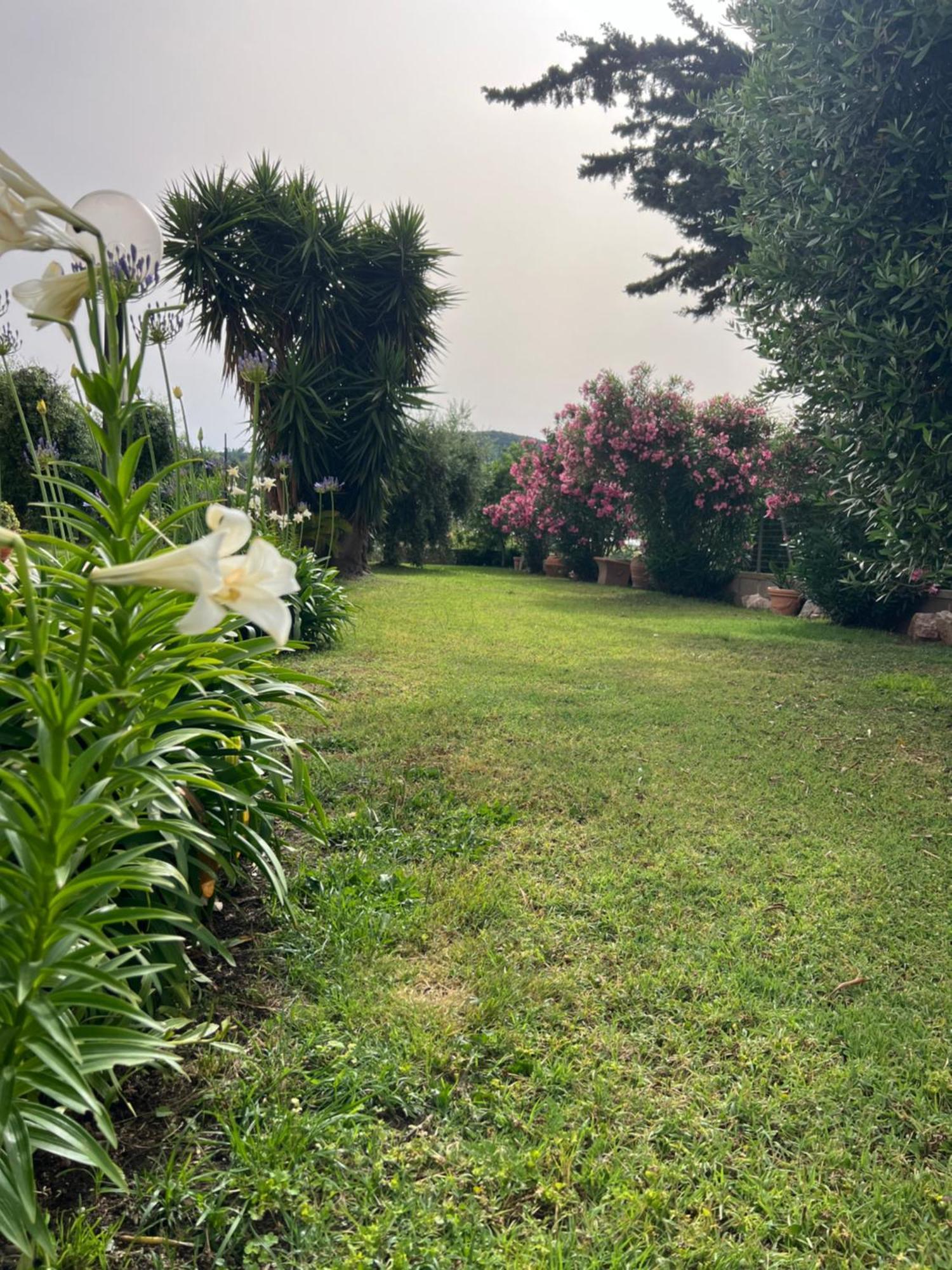 Agriturismo Il Giardino Degli Olivi Appartamenti Кастильоне-делла-Пеская Экстерьер фото